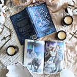 Load image into Gallery viewer, Heir of Bitter Thorn (Paperback) Special Edition
